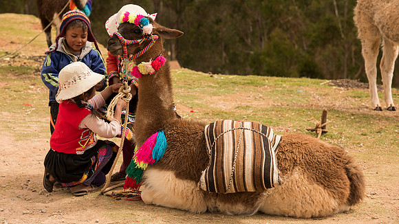 Llama and children