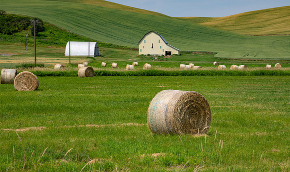 Yellow barn
