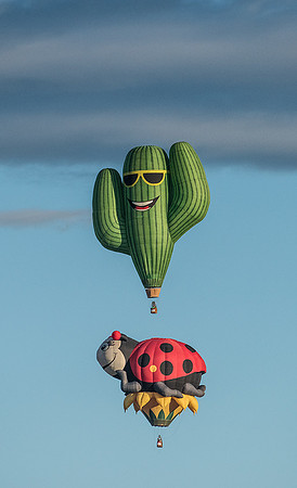 Annie the Lady Bug and Sahuaro Grande Dude