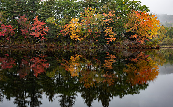 Fall Color Reflections
