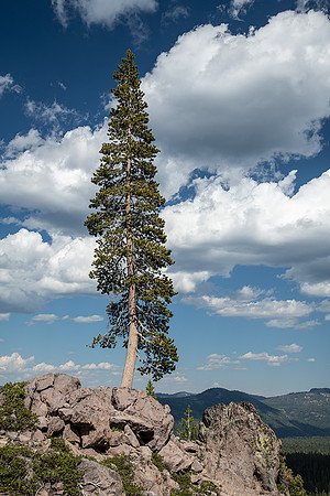 Lassen Volcanic National Park
