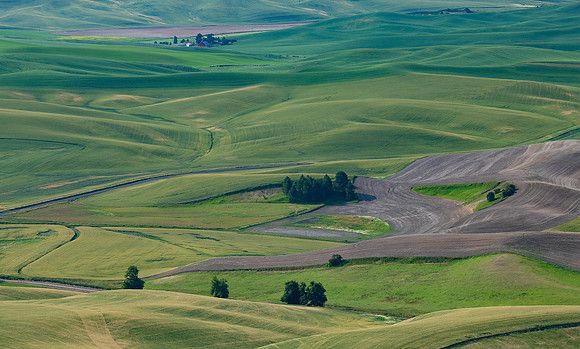 the Palouse