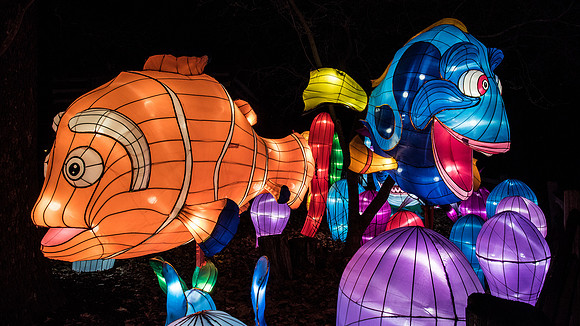 Chinese Lantern Festival