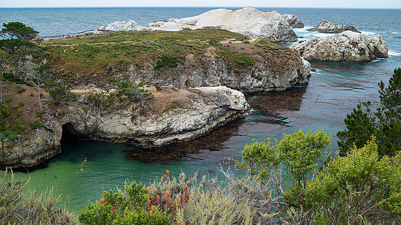Point Lobos State Reserve