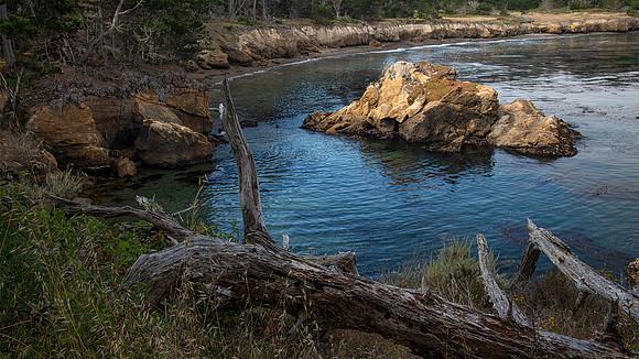 Point Lobos State Reserve