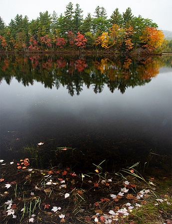 Fall Color reflections