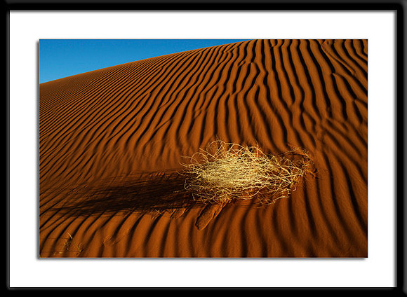 Monument Valley Sand Ripples