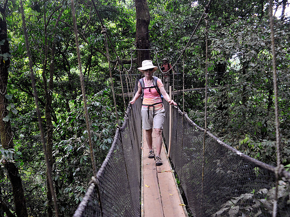 Hanging Bridge