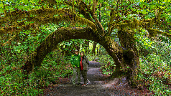 Hoh Rain Forest