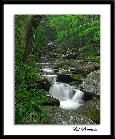 Cascade in Roaring Fork
