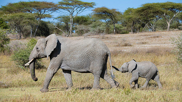 Mom & baby