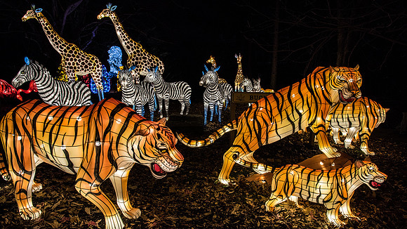 Chinese Lantern Festival