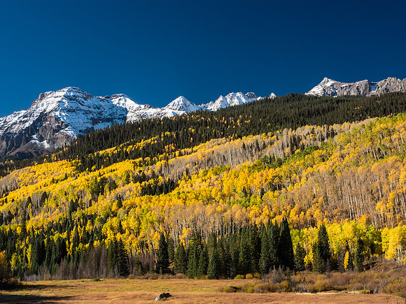 Autumn color, Colorado