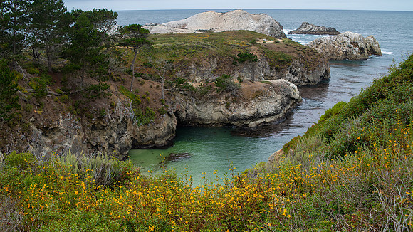 Point Lobos State Reserve
