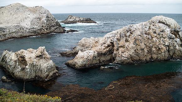 Point Lobos State Reserve