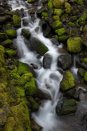 Cascade near Sol Duc Falls