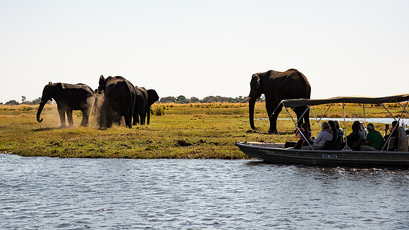 Chobe National park