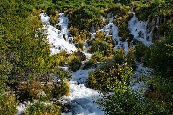 Niagra Springs