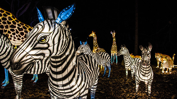 Chinese Lantern Festival
