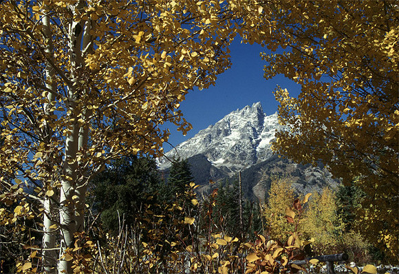Grand Tetons National park