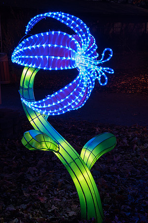 Chinese Lantern Festival