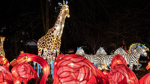 Chinese Lantern Festival