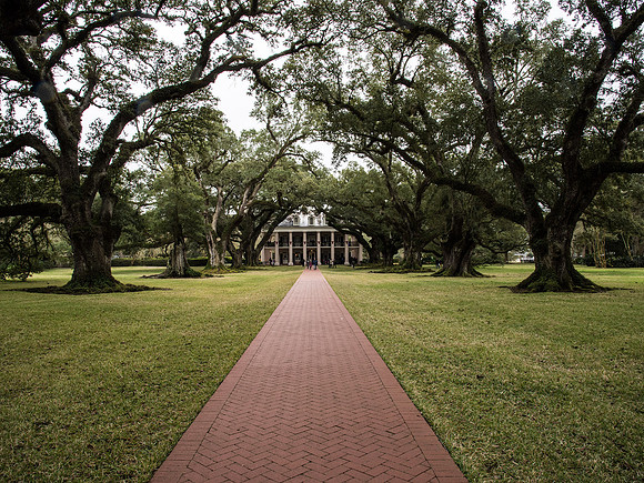 Oak Alley Plantation