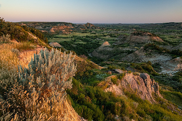 Early Morning Roosevelt NP