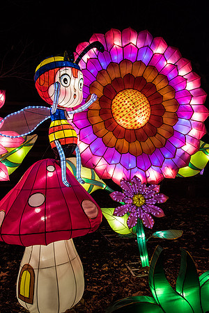Chinese Lantern Festival