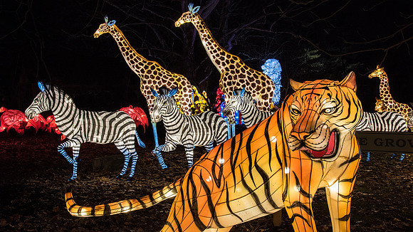 Chinese Lantern Festival