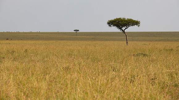 Serengeti National Park