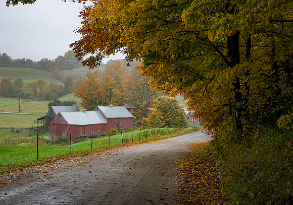Jenne farm
