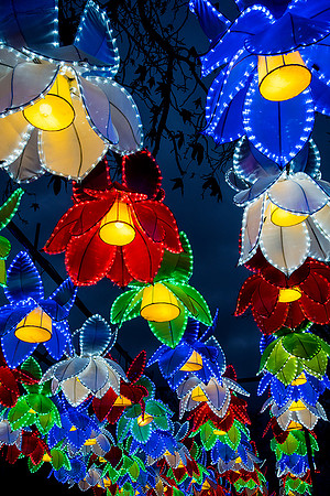 Chinese Lantern Festival