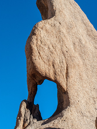 Joshua Tree National Park