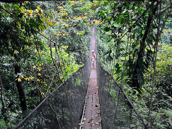 Hanging Bridge