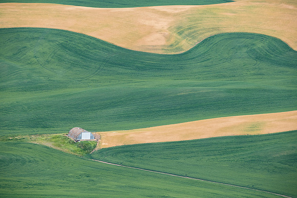 the Palouse