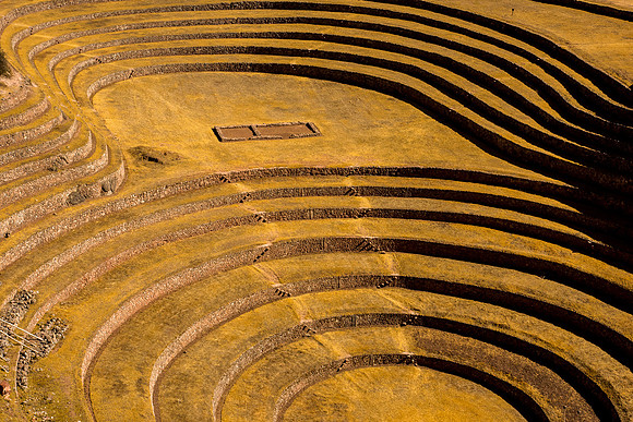 Moray