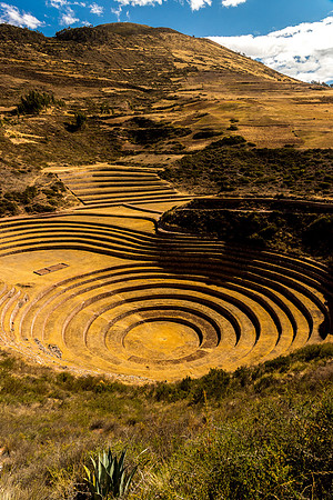 Moray