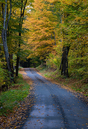 Backroad in Vermont