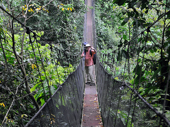 Hanging Bridge