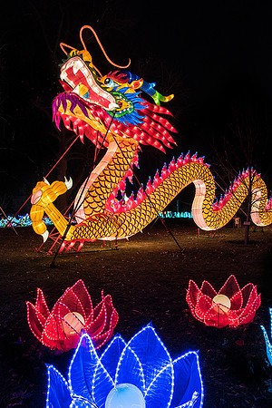 Chinese Lantern Festival