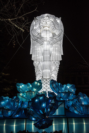 Chinese Lantern Festival