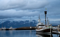 Quiet Bay, Iceland