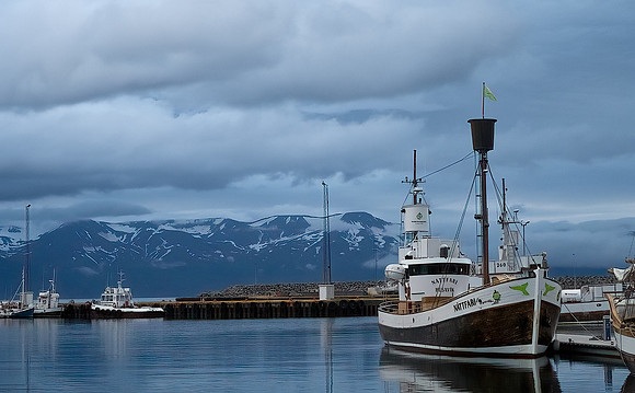 Quiet Bay, Iceland