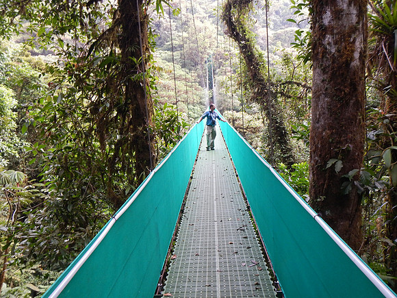 Hanging Bridge