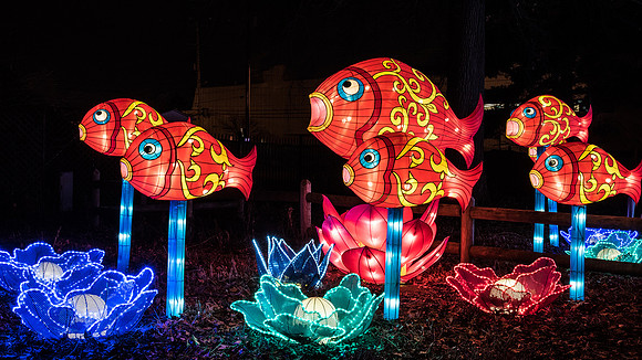 Chinese Lantern Festival