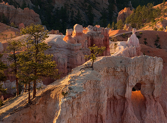 Bryce Canyon