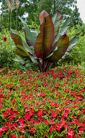 Longwood Gardens