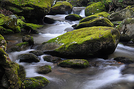 Cascade