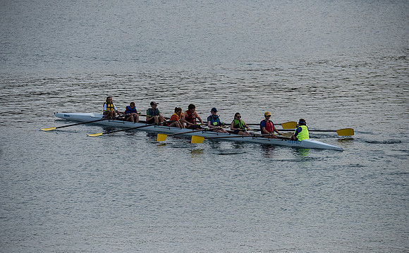 Scullers